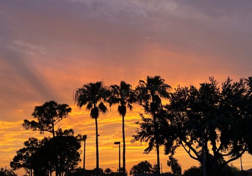 The Crucial Role of Local Government Agencies in Supporting Community Projects in Southeast Florida